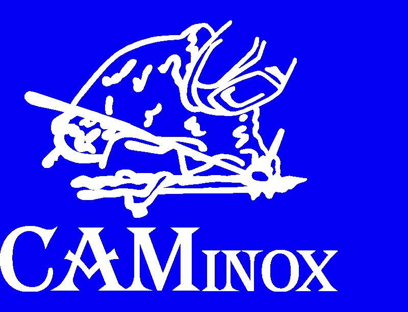 Logo CAMinox